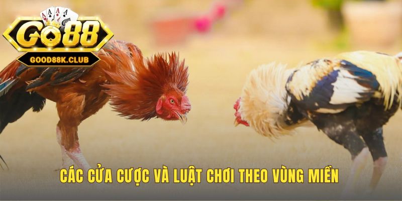 Luật chơi đá gà cựa sắt có ba cửa cược Meron Wala và BDD