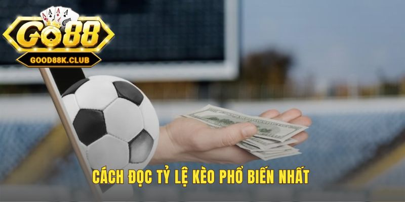 Phân tích kèo tài xỉu cá độ bóng đá giúp giải mã các tỷ lệ kèo