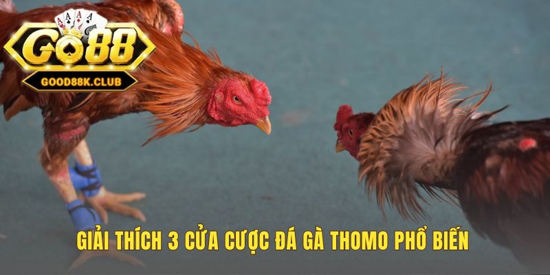 Ba cửa cược Meron Wala BDD là ba chiến lược riêng biệt