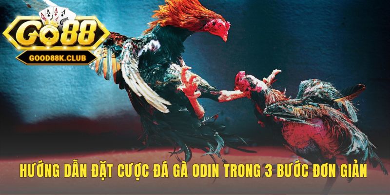 Hướng dẫn đặt cược đá gà ODIN qua ba bước trực quan