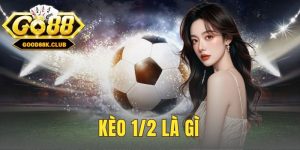 kèo 1/2 là gì