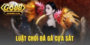 Luật Chơi Đá Gà Cựa Sắt