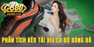 phân tích kèo tài xỉu cá độ bóng đá