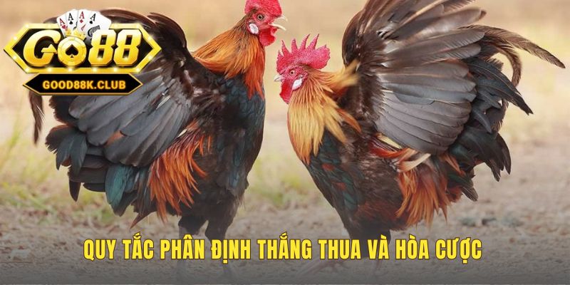 Quy tắc thắng thua dựa trên việc gà chết bỏ chạy hay mất sức