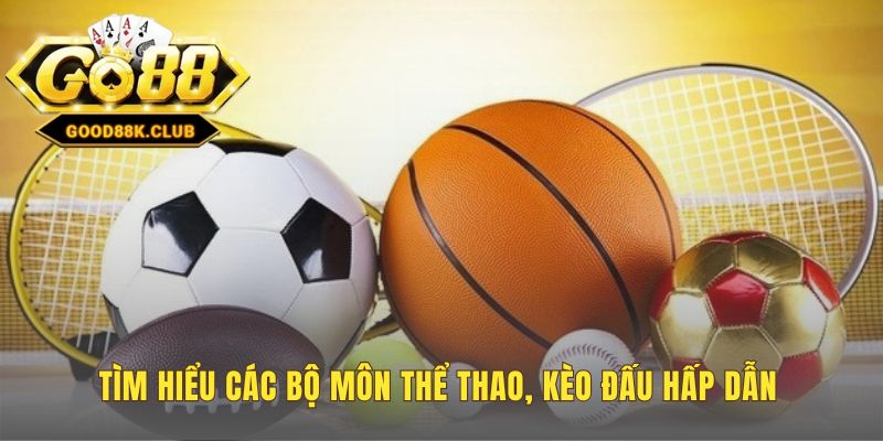 Đa dạng bộ môn cá cược từ bóng đá đến thể thao điện tử