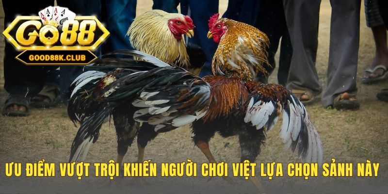 Ưu điểm vượt trội kết hợp công nghệ cao và thiết kế thân thiện